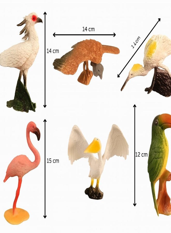 DTR Creation Pack of 6 Bird Figurines | Realistic Wild Bird Toys for Kids | Educational Animal Figures for Boys & Girls | Durable Plastic Miniature Birds for Learning, Projects & Home Décor - Image 2